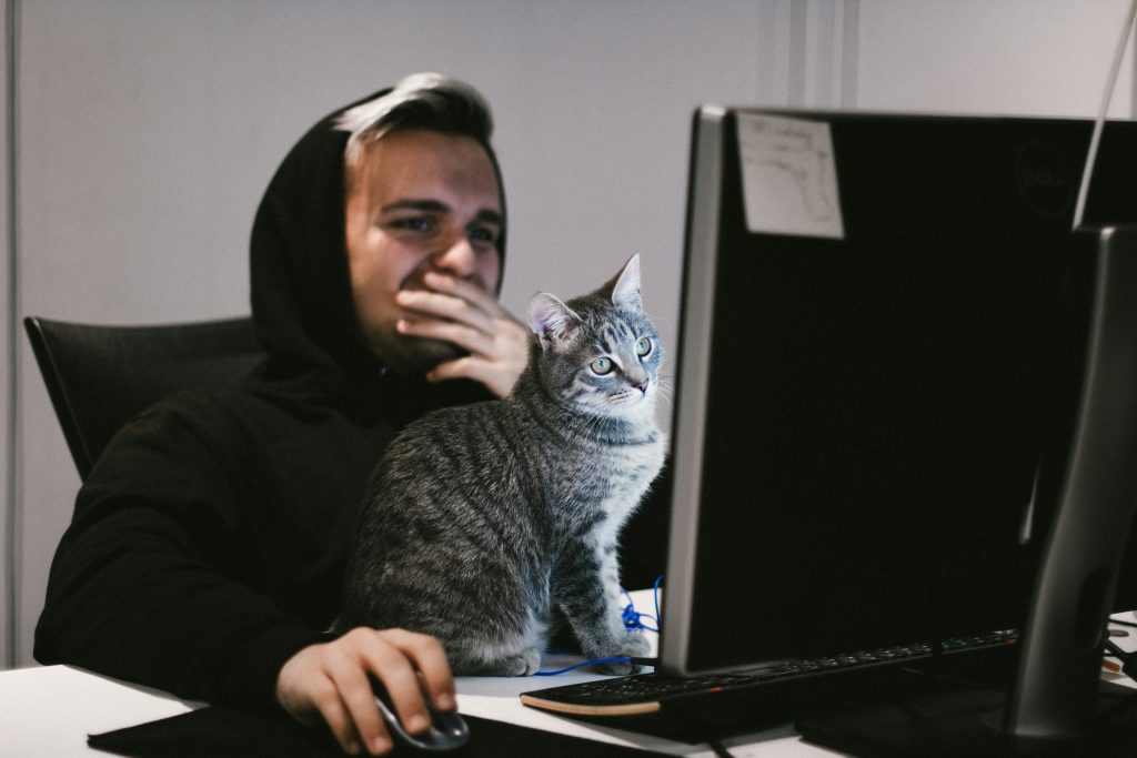 mann-mit-computer-desktop-front-der-katze-XncszFVfqhE