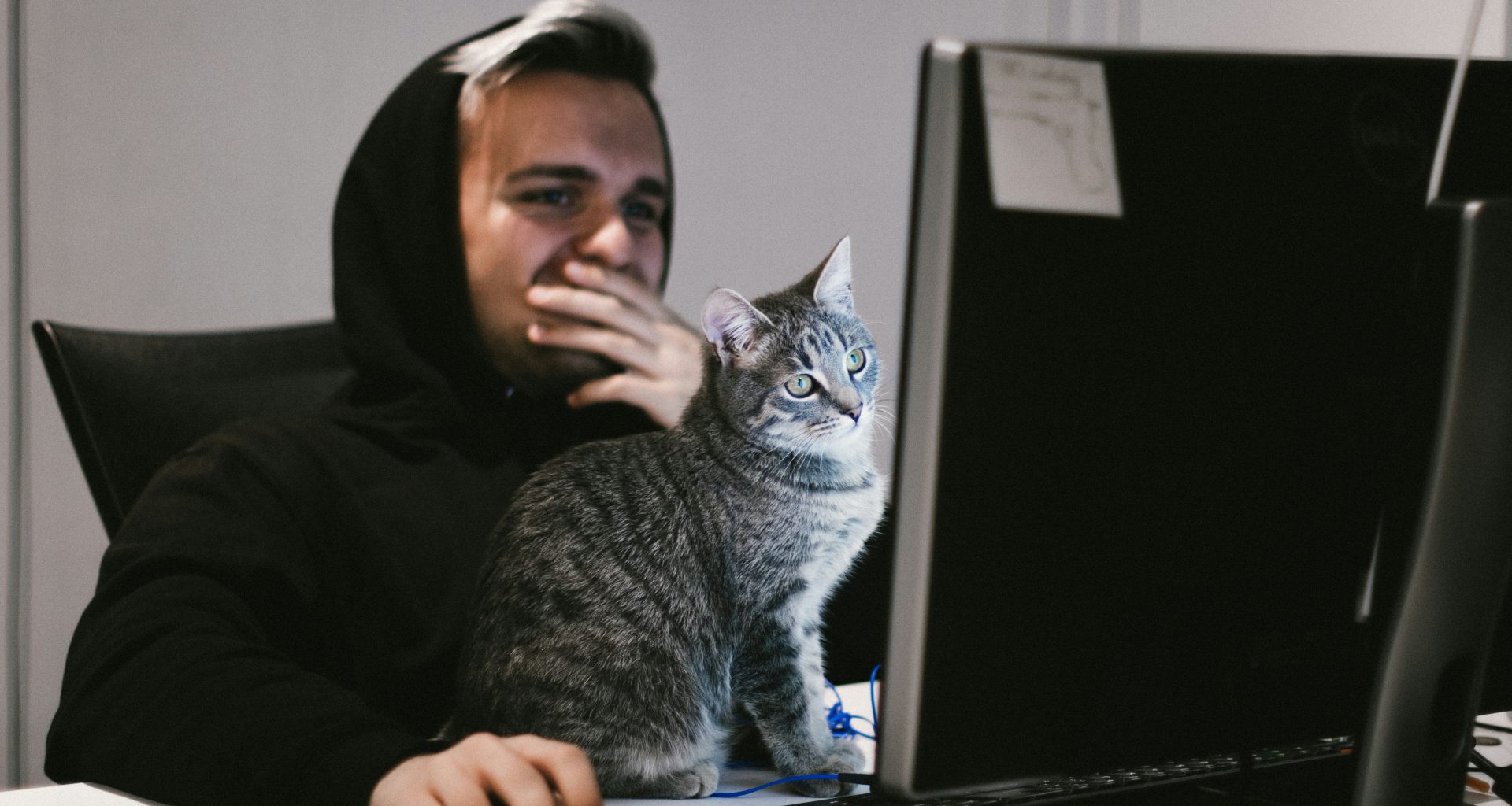 mann-mit-computer-desktop-front-der-katze-XncszFVfqhE