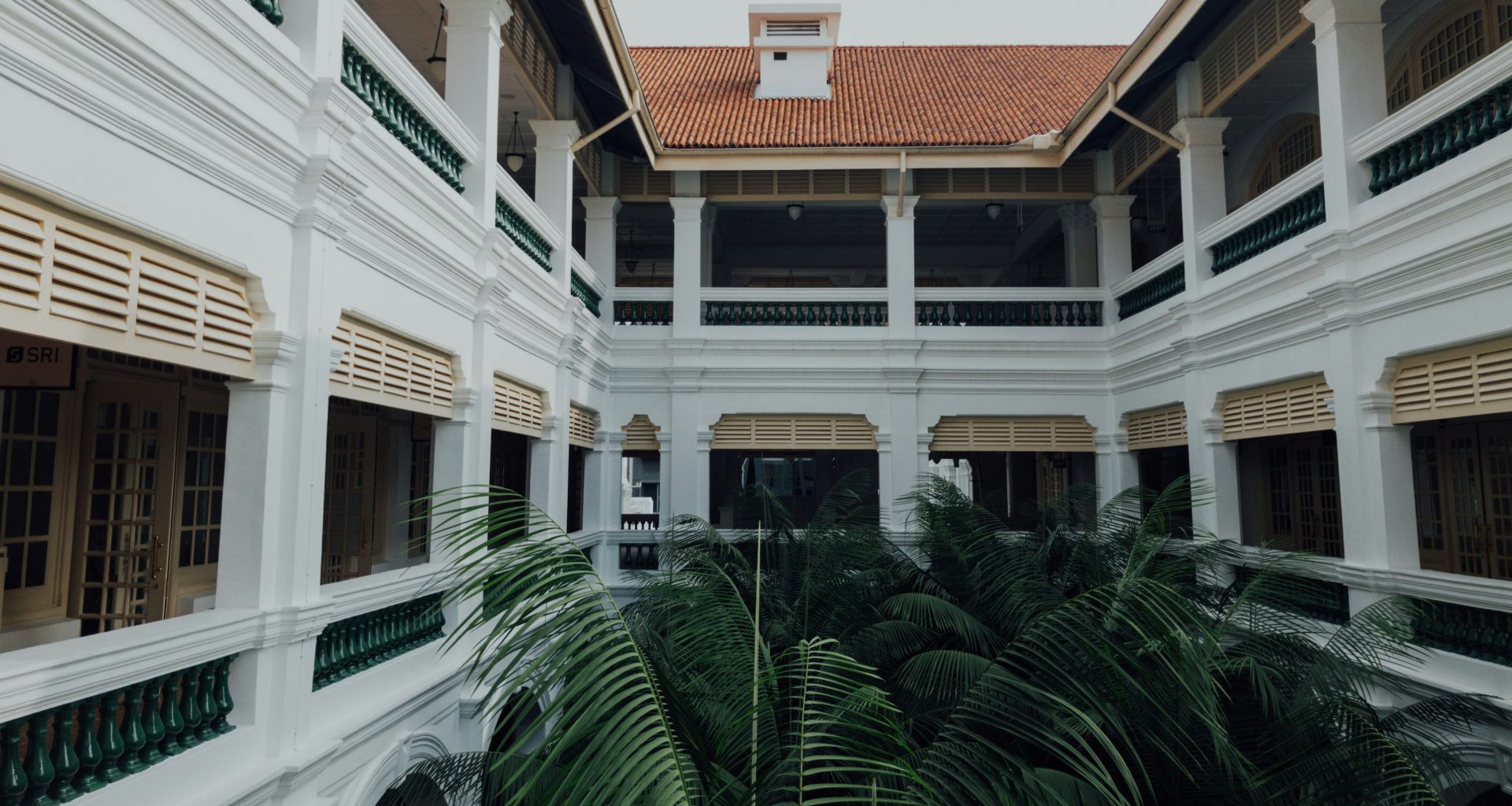 palmen-zwischen-den-gebauden-AAMZ0JL2n-s