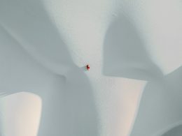 person-im-weissen-hemd-n5LsDv5t-Lw