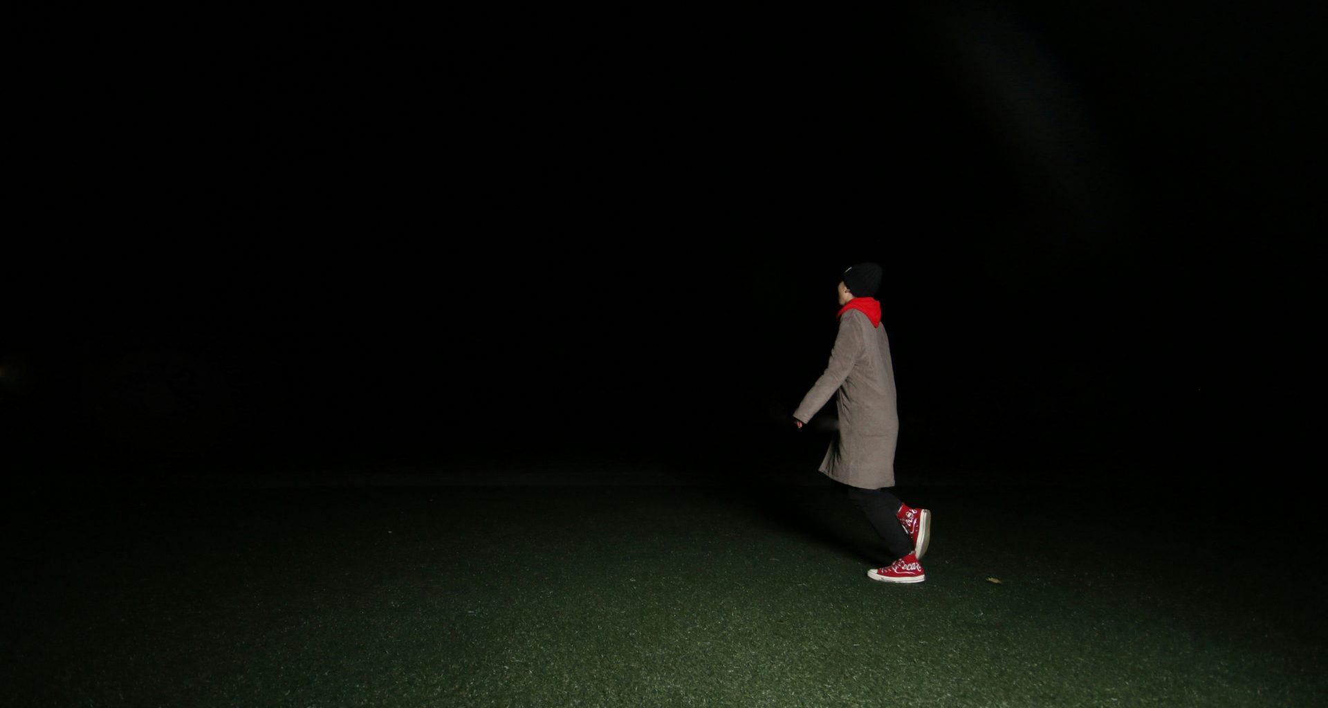 person-die-nachts-auf-einer-wiese-steht-dWH7cw6Q7mo