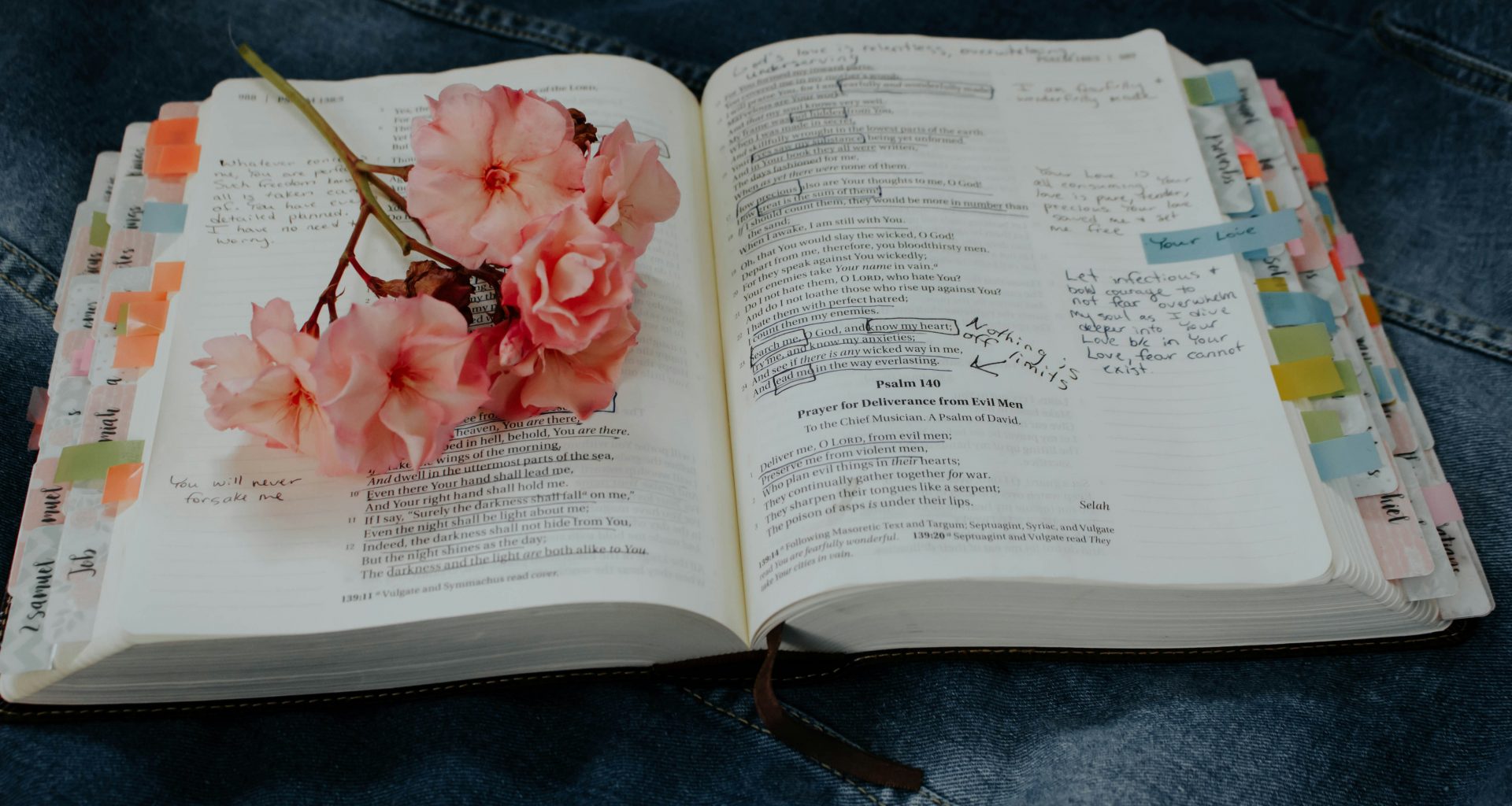 rosa-blattrige-blume-auf-buch-tImZgkTcCbQ