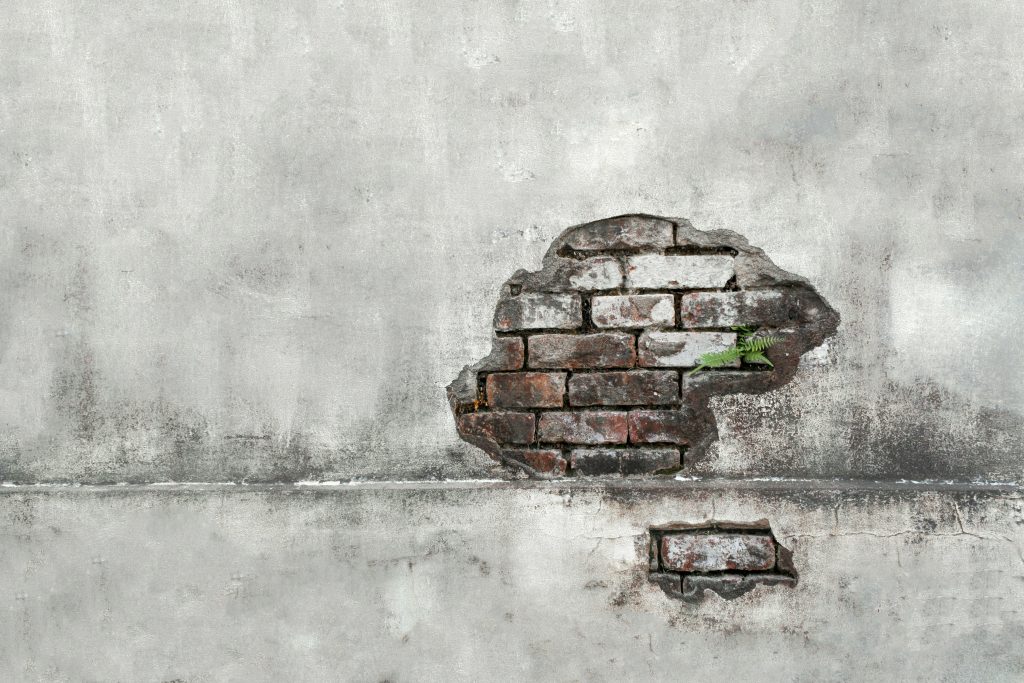 rote-backsteinwand-mit-weisser-farbe-uberzogen-JX-Ufc_fZj0