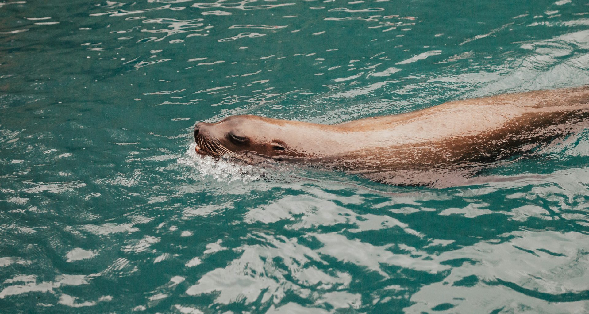 versiegelung-im-gewasser-_X3qm6HMQRo