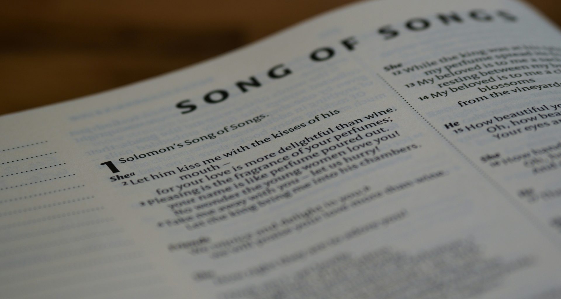 text-brief-gungQ7C5fxM