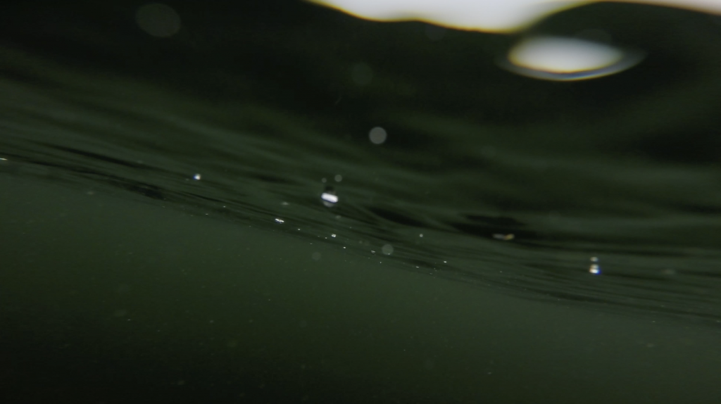 unterwasserfotografie-K0NZmsoaRt0