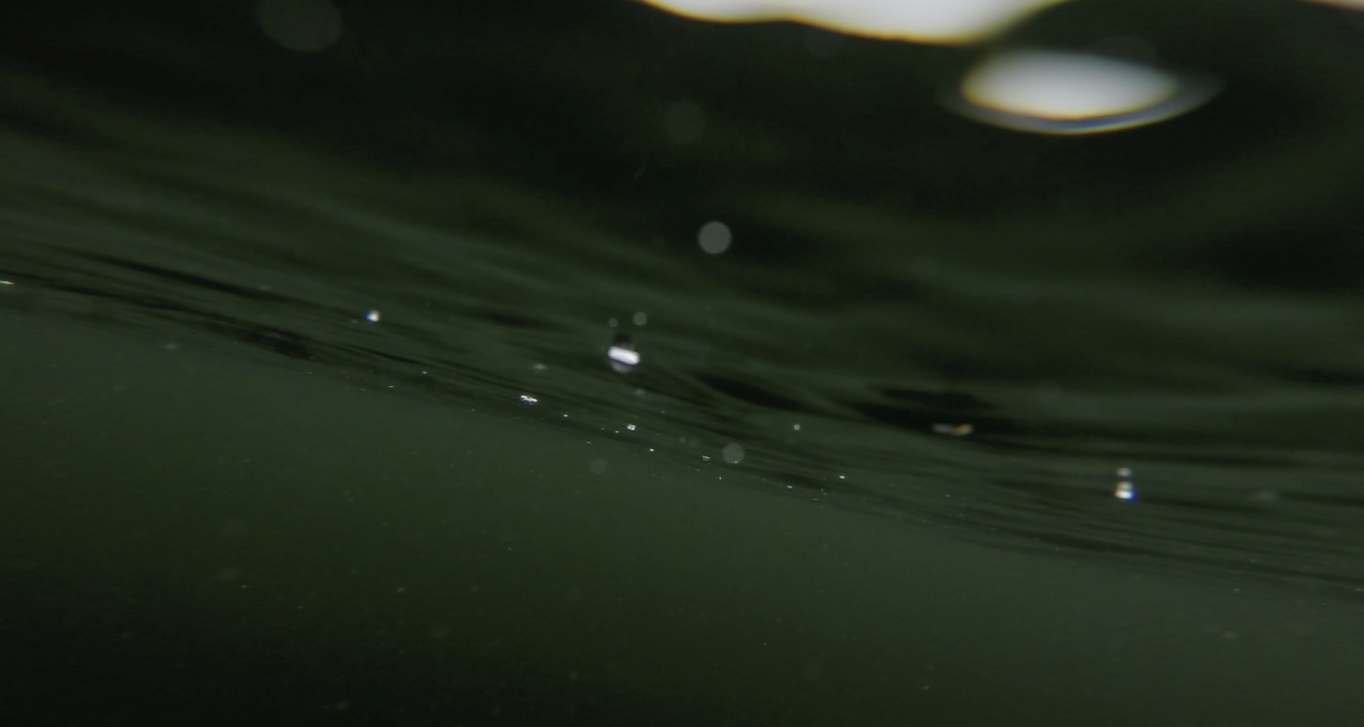 unterwasserfotografie-K0NZmsoaRt0