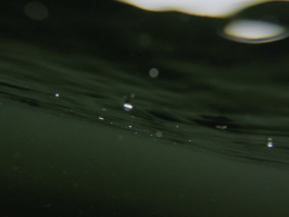 unterwasserfotografie-K0NZmsoaRt0