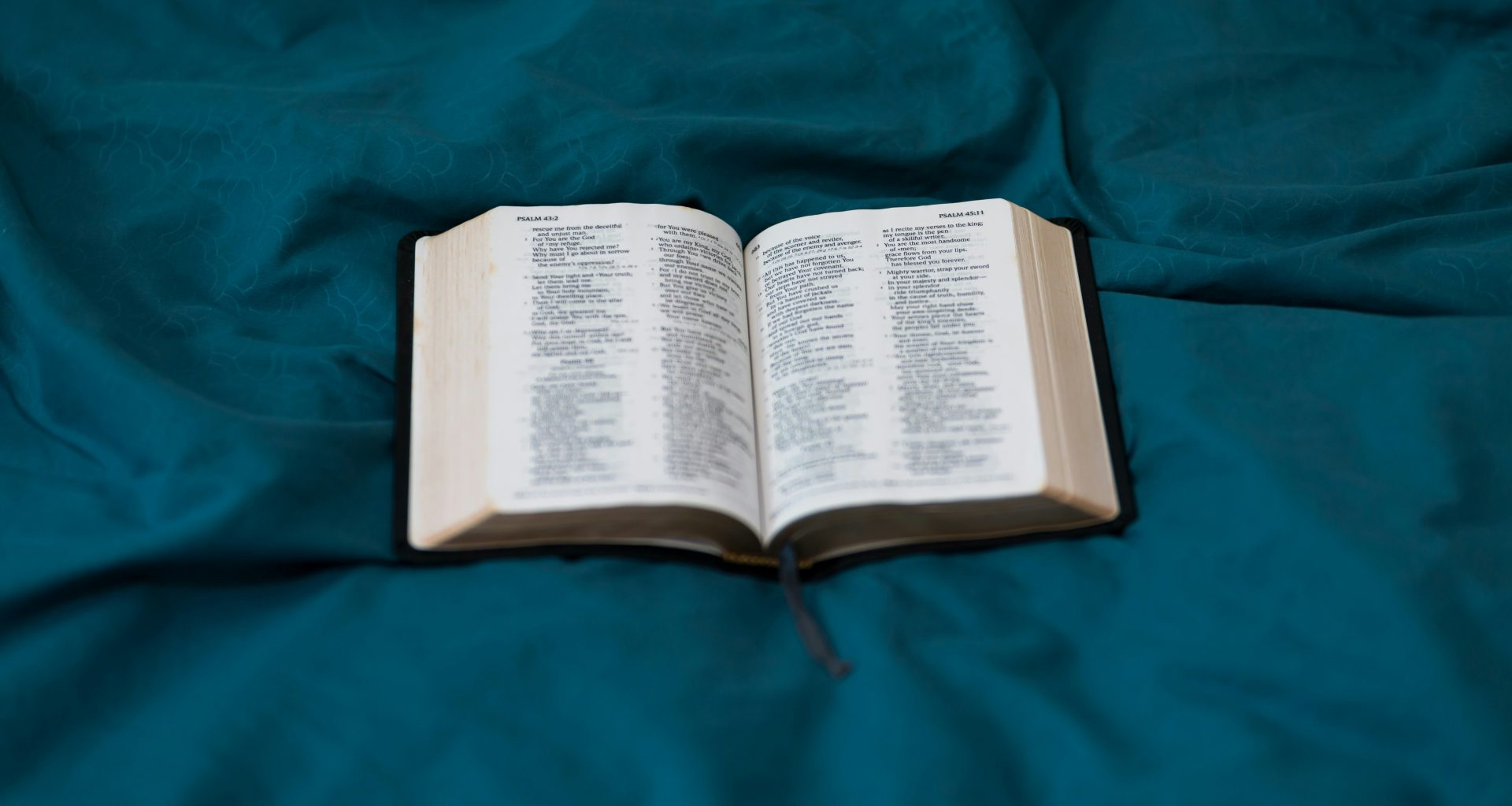 weissbuchseite-uber-grune-textilien-rYuc3mh8d3s