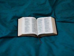 weissbuchseite-uber-grune-textilien-rYuc3mh8d3s