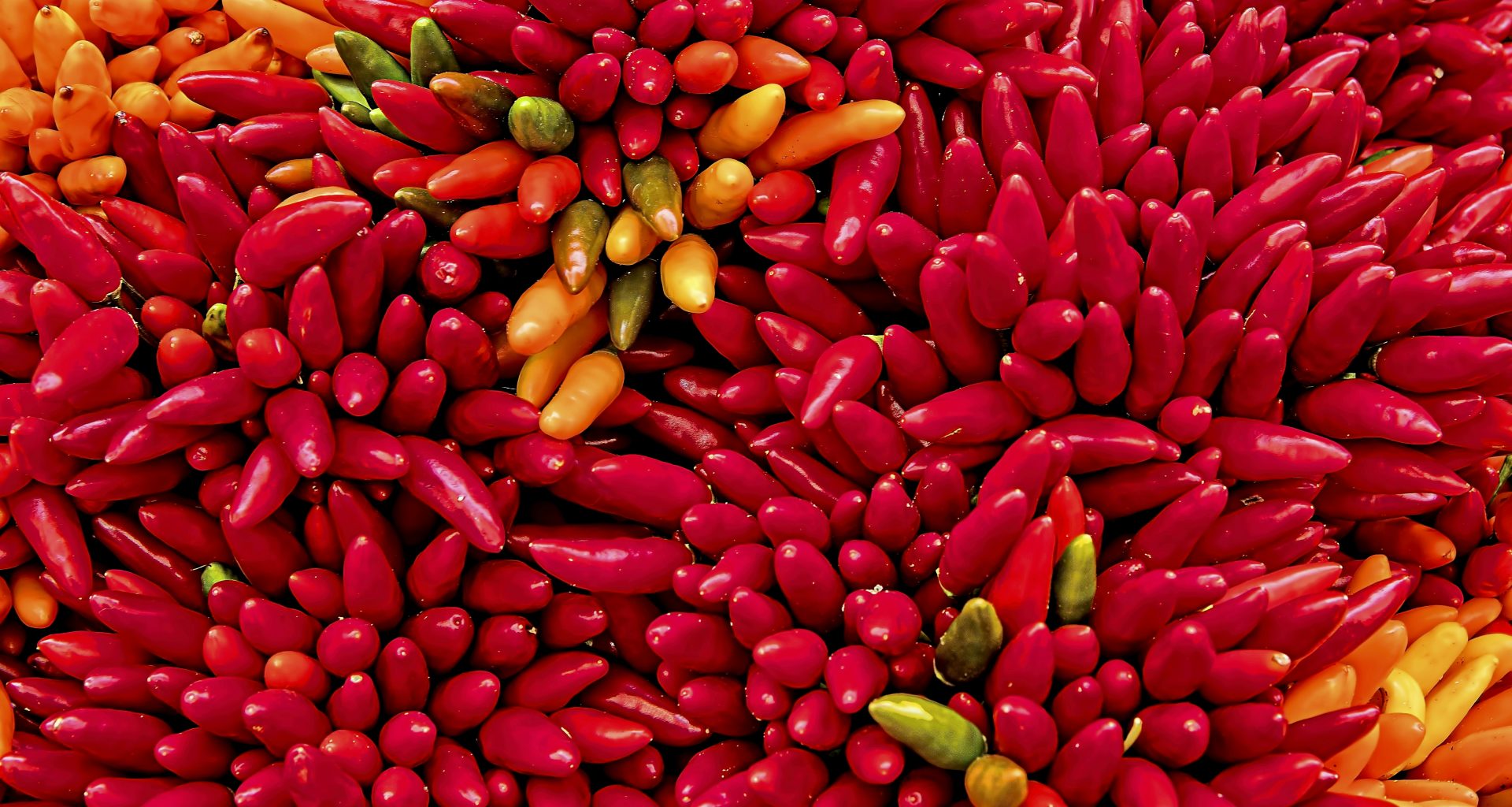 gelbe-und-rote-chilis-I5XthC605H0