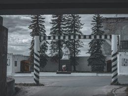 ein-schwarz-weiss-foto-einer-strasse-mit-baumen-cLR7kxiekRM