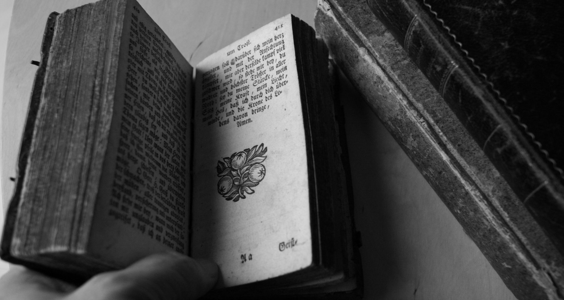 eine-person-halt-ein-buch-in-der-hand-GhKFvL8cH2Y