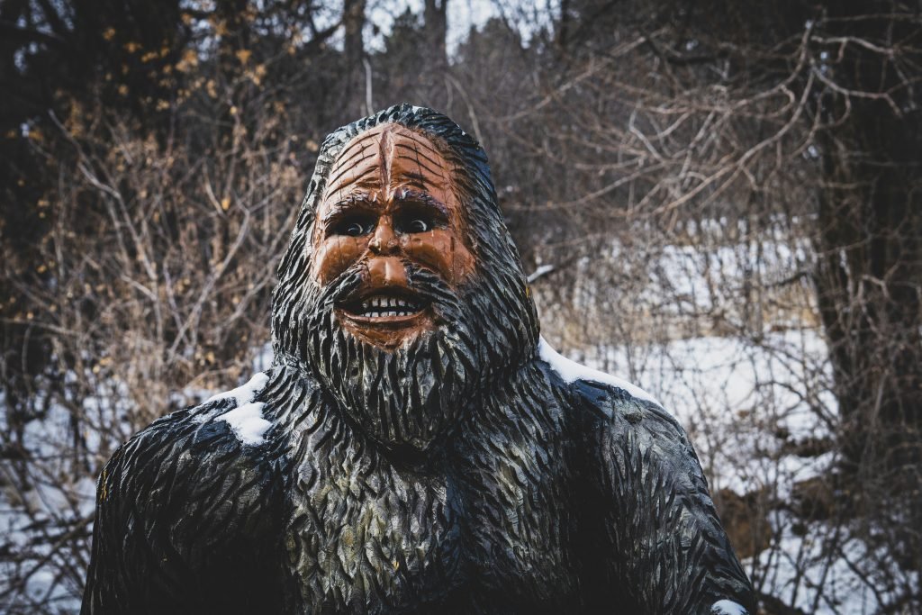 eine-person-mit-bart-vt9v8arVaQs