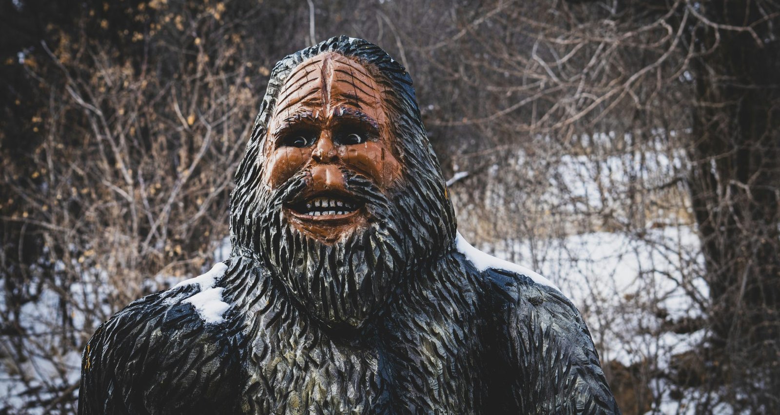 eine-person-mit-bart-vt9v8arVaQs