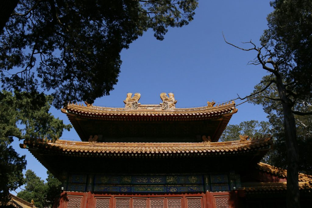 braunes-und-grunes-betongebaude-tagsuber-unter-blauem-himmel-T5J7Zu9Ttzk