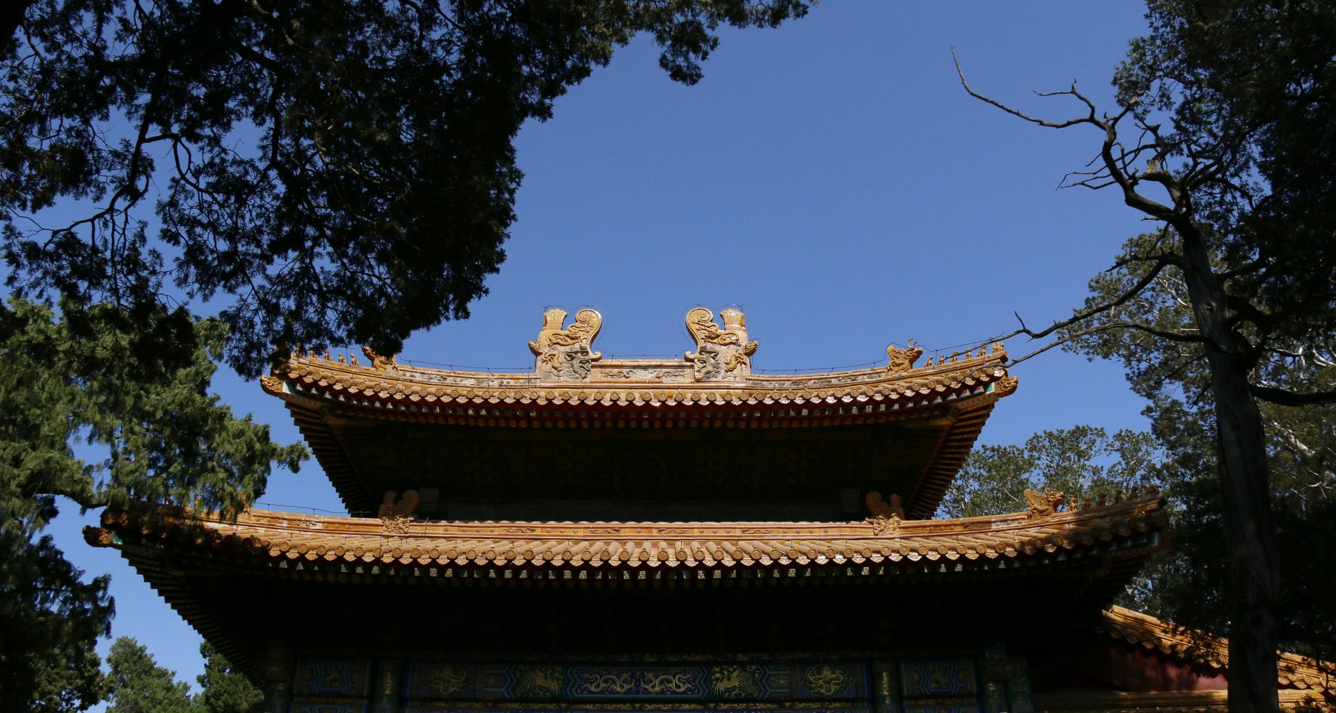 braunes-und-grunes-betongebaude-tagsuber-unter-blauem-himmel-T5J7Zu9Ttzk