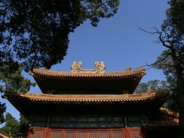 braunes-und-grunes-betongebaude-tagsuber-unter-blauem-himmel-T5J7Zu9Ttzk