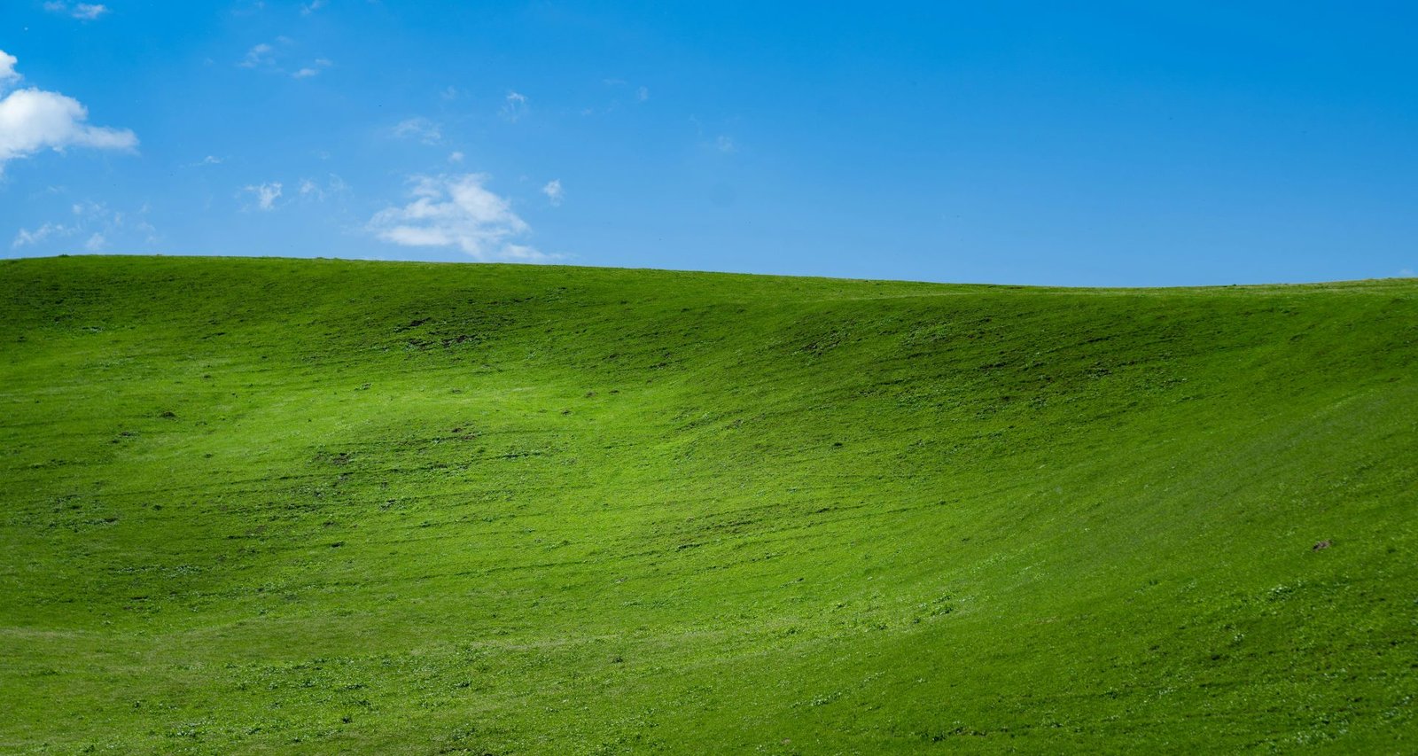 grunes-grasfeld-unter-blauem-himmel-tagsuber-DznqzDPA0WM