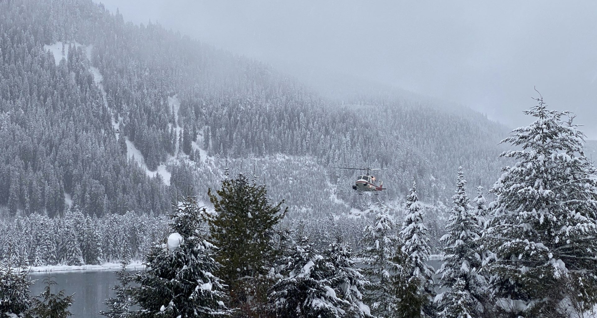 kiefern-tagsuber-in-der-nahe-von-gewassern-mit-schnee-bedeckt-drg9SN8XuSc