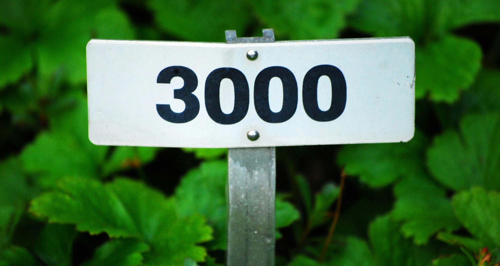 weiss-schwarzes-stoppschild-S_hj8FHe-y4