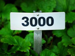 weiss-schwarzes-stoppschild-S_hj8FHe-y4