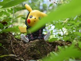 gelber-und-schwarzer-vogel-pluschtier-auf-braunem-baumstamm-xKRv2abDDeg