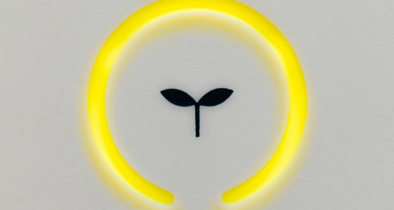 Buffer Dashboard zeigt geplante Social Media Beiträge auf verschiedenen Plattformen