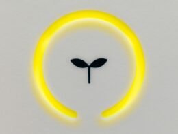 Buffer Dashboard zeigt geplante Social Media Beiträge auf verschiedenen Plattformen