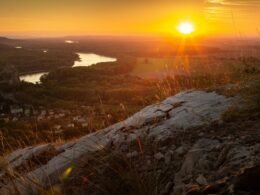 Buffer Dashboard mit geplanten Social-Media-Beiträgen und Analyse-Statistiken auf einem Bildschirm