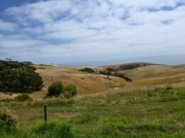 Buffer Dashboard zeigt geplante Beiträge und Analysen für Social Media Management