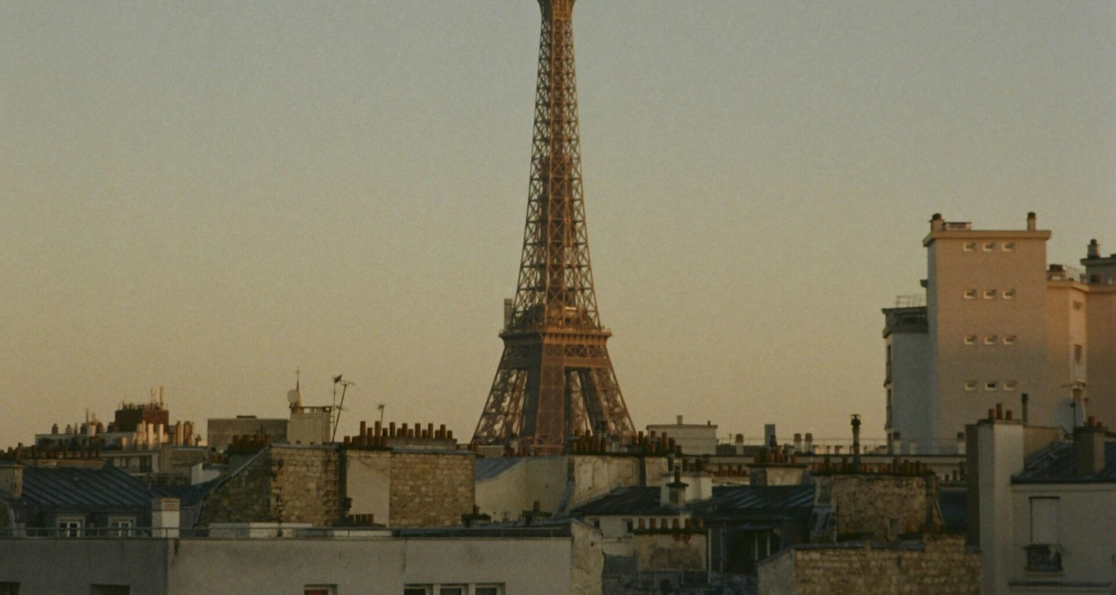 Buffer Dashboard mit geplanten Social Media Beiträgen und Analyse-Statistiken