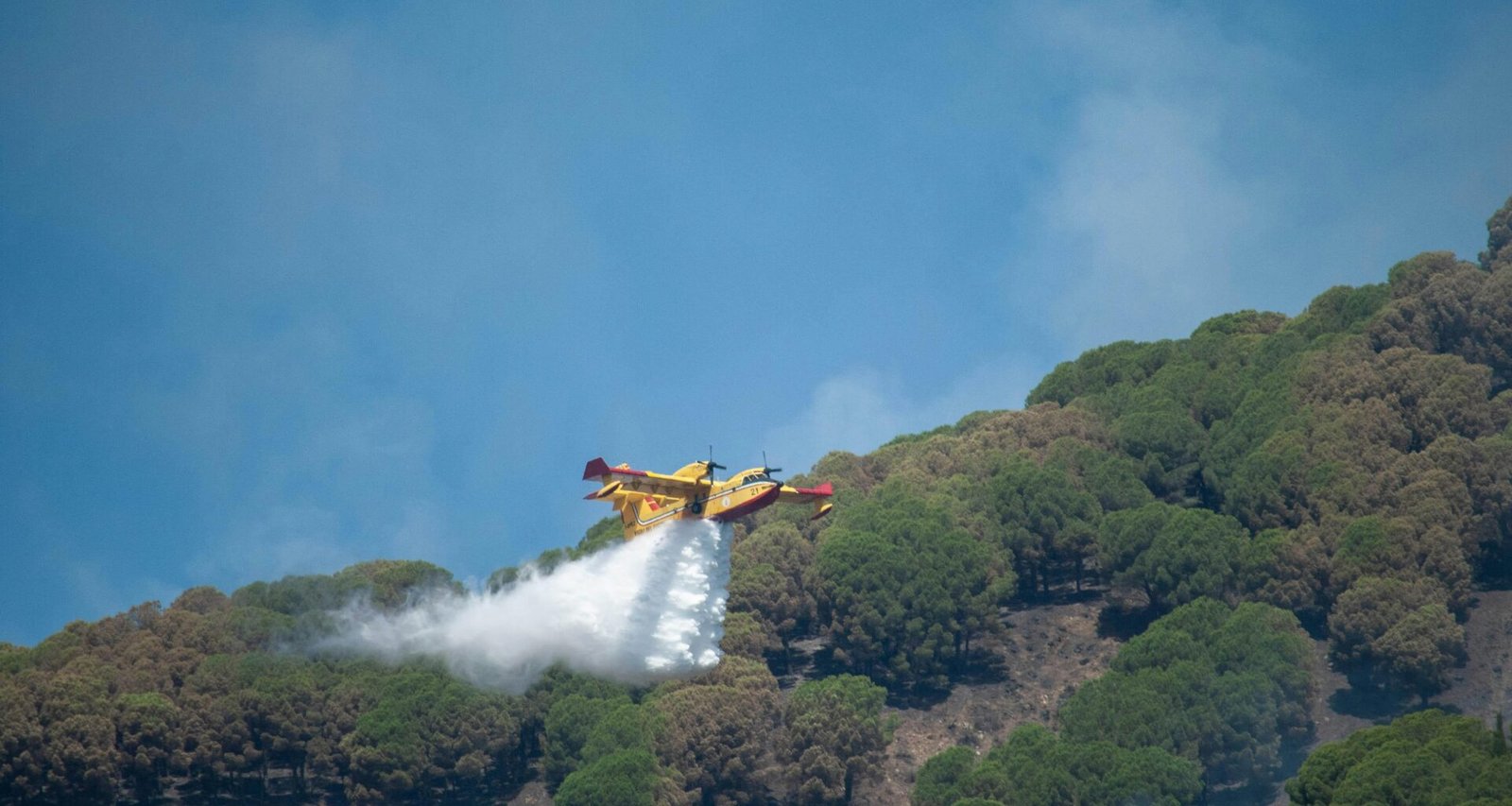 Buffer Dashboard mit Social Media Beitragsplanung auf einem Laptop