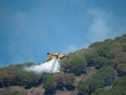 Buffer Dashboard mit Social Media Beitragsplanung auf einem Laptop