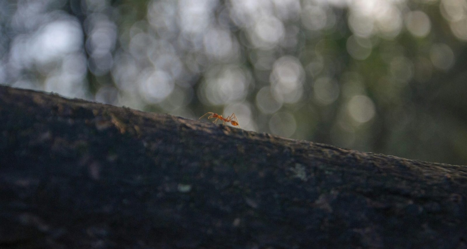 Screenshot der Buffer-Plattform zur Planung und Verwaltung von Social Media Posts