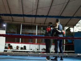 Buffer Dashboard mit Social Media Planungs- und Analysetools