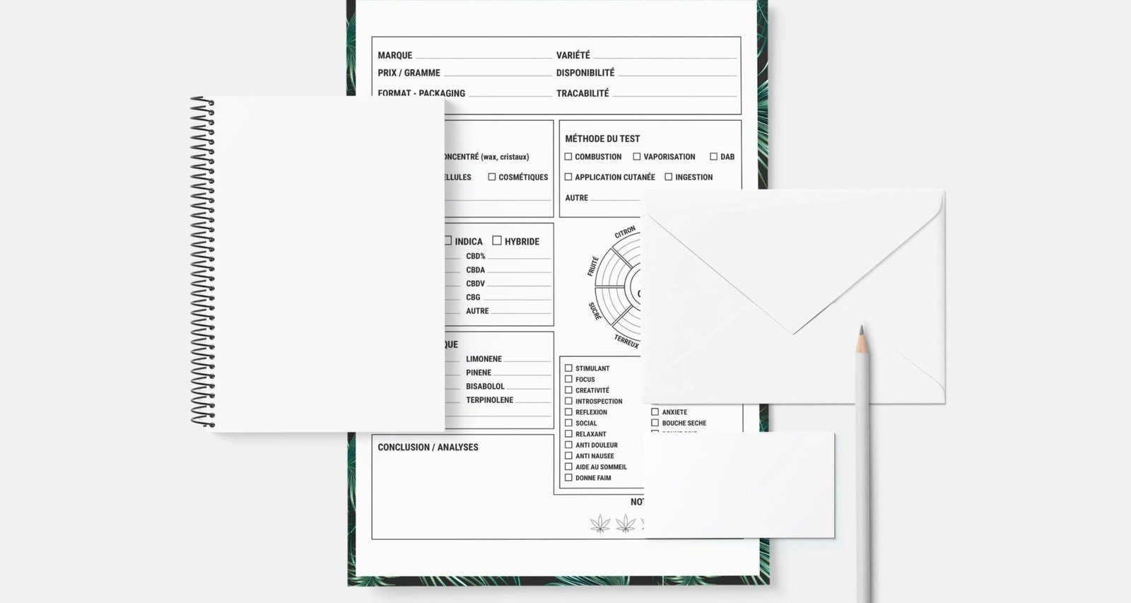 Buffer Dashboard zur Verwaltung und Planung von Social Media Beiträgen auf verschiedenen Plattformen