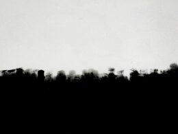 Buffer Dashboard mit Social Media Planungstools auf einem Computerbildschirm