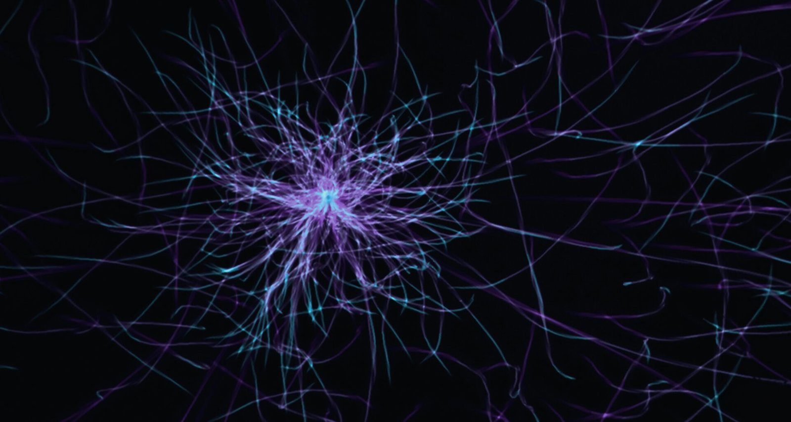 Dashboard-Ansicht von Buffer mit Social Media Beitragsplan und Analysetools