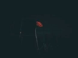 Buffer Dashboard mit geplanten Social Media Beiträgen auf dem Bildschirm