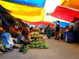 Buffer Social Media Management Dashboard mit geplanten Beiträgen und Analyse-Diagrammen