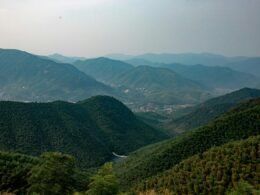 Screenshot der Buffer-Plattform mit Übersicht geplanter Social Media Beiträge