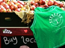 Buffer Dashboard mit geplanten Social-Media-Beiträgen und Analyse-Übersicht auf einem Laptop-Bildschirm