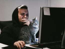 Buffer Dashboard mit geplanter Social Media Kalenderansicht auf einem Computerbildschirm