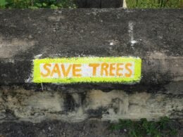 Dashboard von Buffer mit Social-Media-Analyse und geplanten Beiträgen auf einem Laptop-Bildschirm