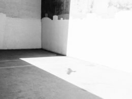 Dashboard von Buffer mit geplanter Social Media Kampagne auf Laptop-Bildschirm