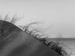 Buffer Dashboard mit geplanten Social-Media-Beiträgen auf Desktop und Smartphone