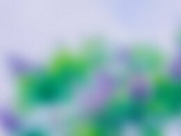 Buffer Dashboard mit geplanter Social-Media-Beitragsübersicht auf einem Laptop-Bildschirm