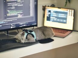 Dashboard von Buffer mit Social Media Beiträgen und Planungstools auf einem Laptop-Bildschirm