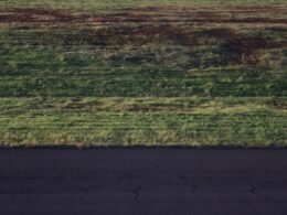 Screenshot der Benutzeroberfläche von Buffer mit geplanten Social Media Posts